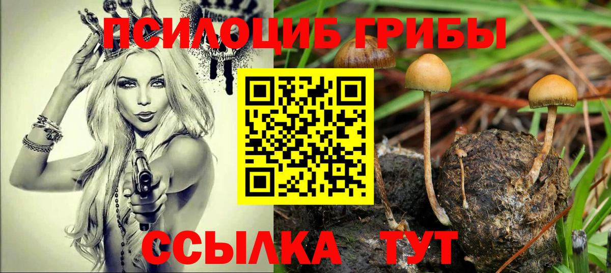 Клин  Псилоцибиновые грибы прущие грибы  Вход с VPN 