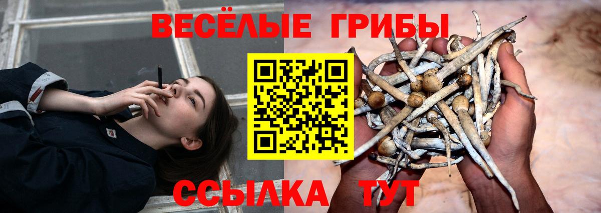 Галлюциногенные грибы MAGIC MUSHROOMS Клин
